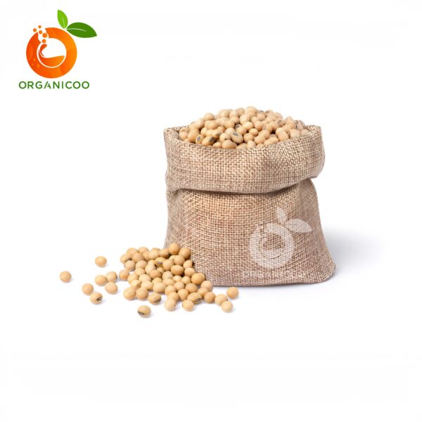 Soya Bean Seed