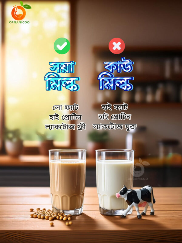 Soy Milk Powder